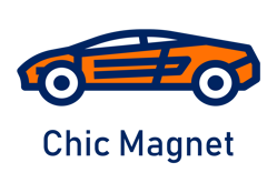 0000428_chic-magnet-cars-for-sale_250